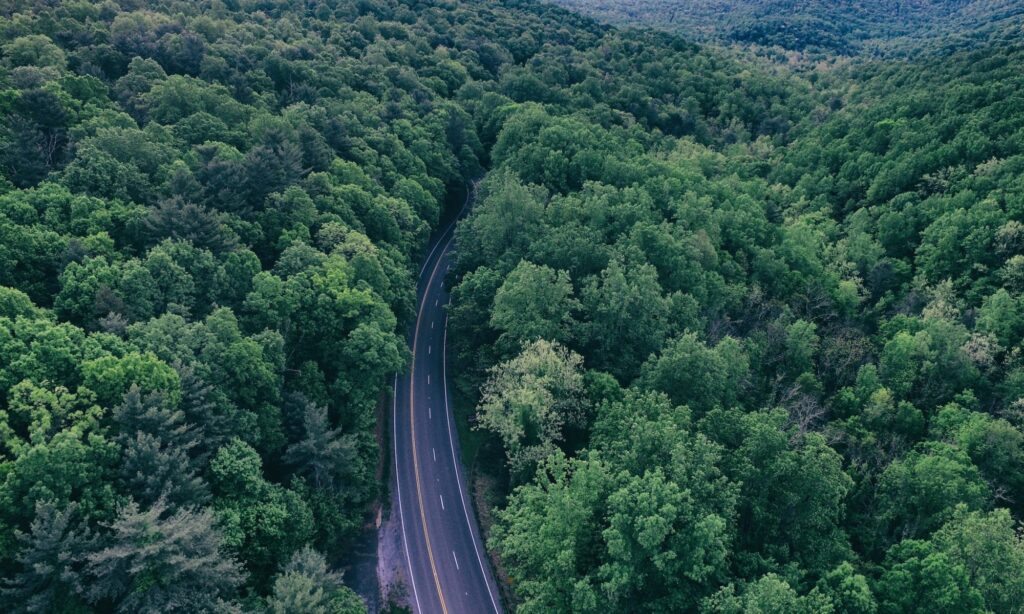 Cropped StockSnap 89BQZ89TLH 2 1024x614