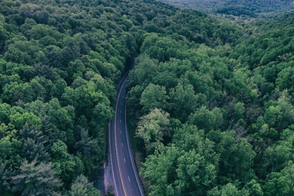 Cropped StockSnap 89BQZ89TLH 2 600x400